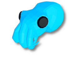 Hawaiian Bobtail Squid